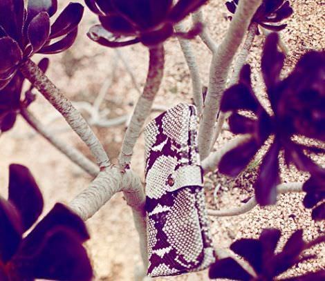 catalogo de accesorios de massimo dutti