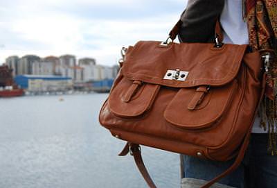 Alexa Bag