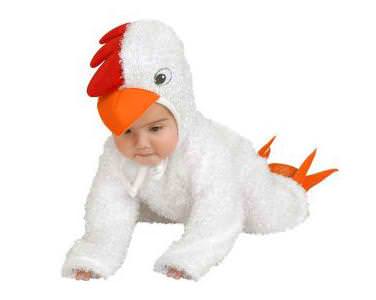 pollito