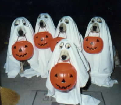 disfraz de halloween