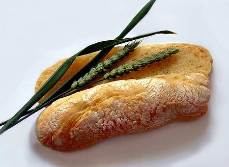 La dieta del  bocadillo