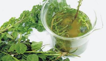 infusiones