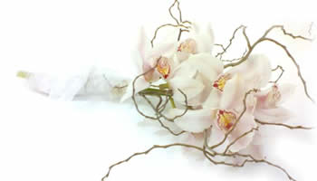 ramo de novia con orquídeas
