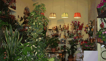 floristeria