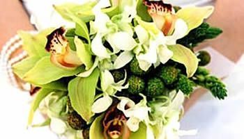 ramo de orquideas